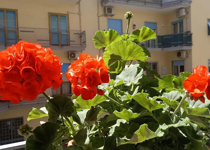 B&B Maestra Giovanna